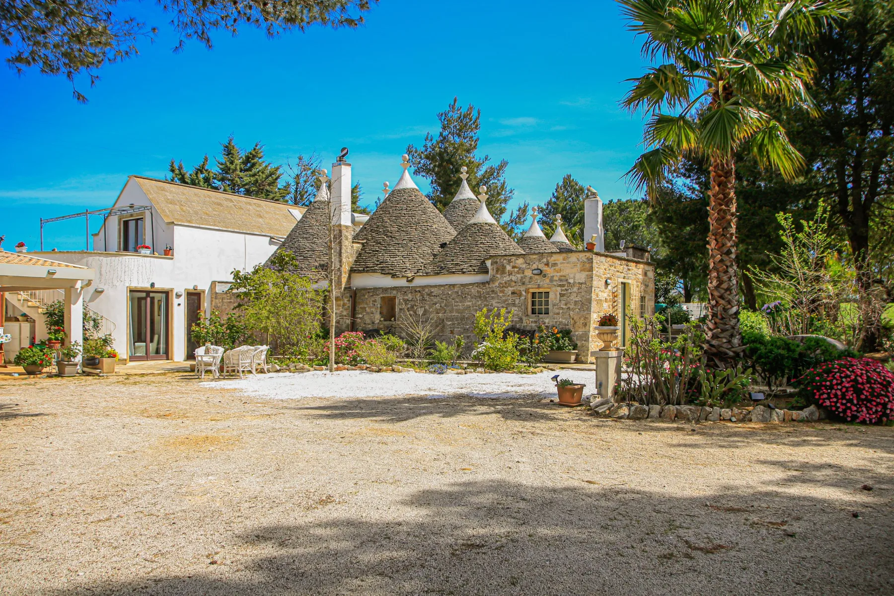 Masseria Battaglini: the white house, conical trulli roofs and the courtyard palm