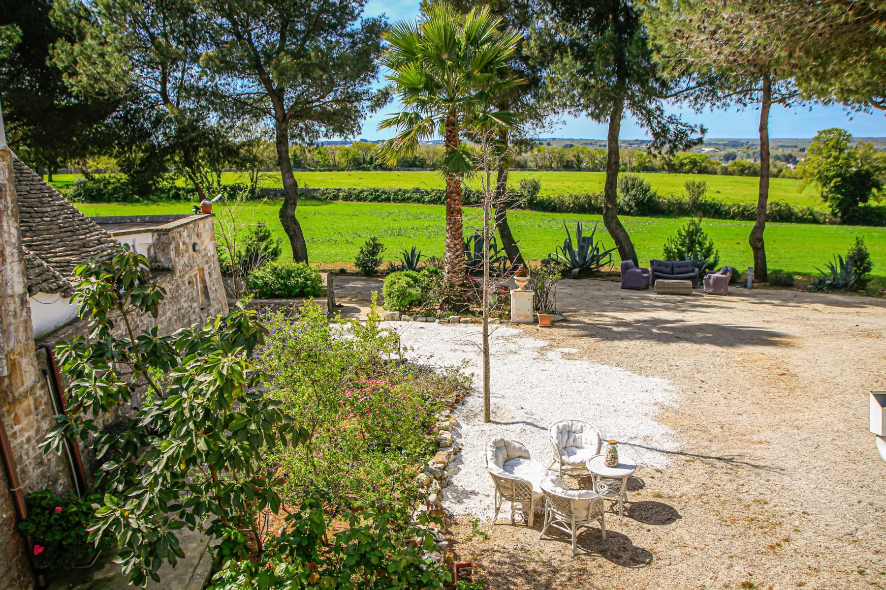 The masseria garden from above: white gravel, a palm and green fields