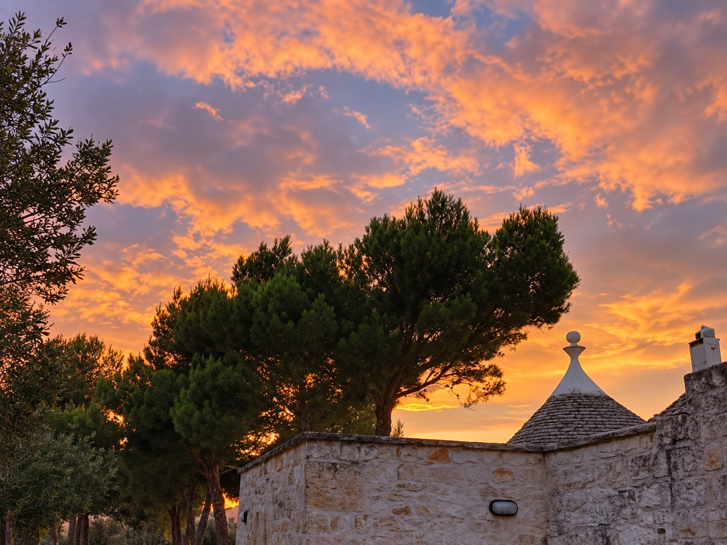A pine and a trullo beneath clouds lit by the setting sun